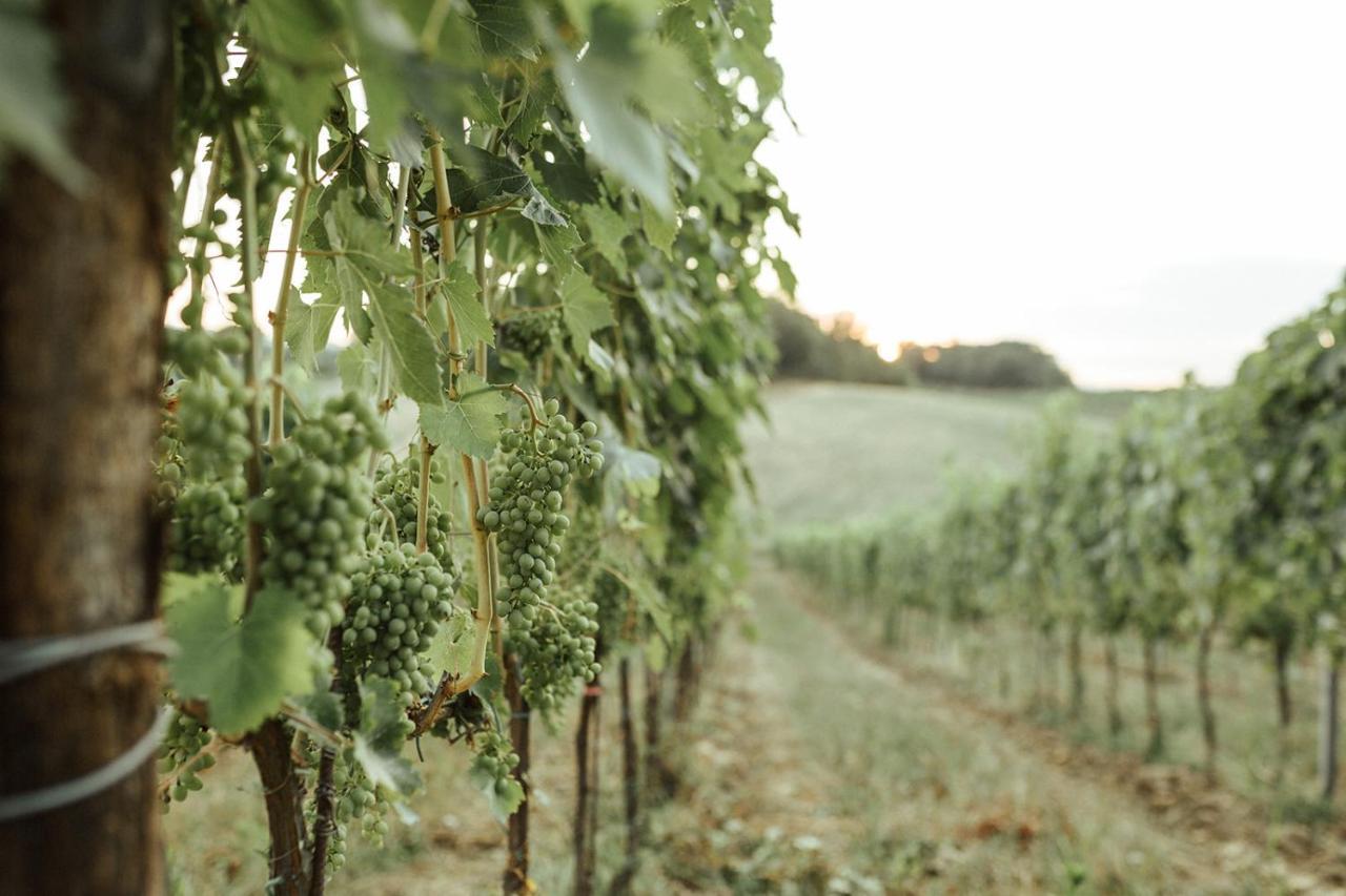 Perelli Winery Vila Bucine Exterior foto
